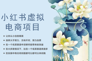 【2023.07.24】小红书虚拟电商从0到1，让你从小白到精英（20节实操课程）百度网盘免费下载-芽米宝库