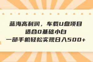 【2023.07.24】蓝海高利润，车载U盘项目，适合0基础小白，一部手机轻松实现日入500+百度网盘免费下载-芽米宝库