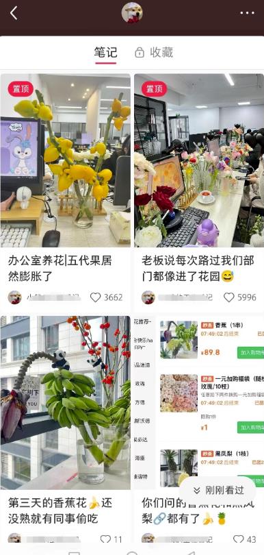 图片[1]-【2023.07.24】小红书导流快团团卖货实操案例，日引200+精准粉百度网盘免费下载-芽米宝库