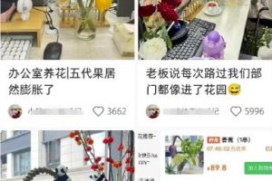 【2023.07.24】小红书导流快团团卖货实操案例，日引200+精准粉百度网盘免费下载-芽米宝库
