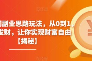 【2023.07.20】4个冷门副业思路玩法，从0到1，闷声发财，让你实现财富自由百度网盘免费下载-芽米宝库