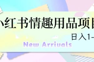 【2023.07.19】最新小红书情趣用品项目，日入1-4k百度网盘免费下载-芽米宝库
