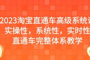 【2023.07.17】2023淘宝直通车高级系统课，实操性，系统性，实时性，直通车完整体系教学百度网盘免费下载-芽米宝库