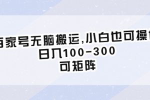 【2023.07.13】百家号无脑搬运,小白也可操作，日入100-300，可矩阵百度网盘免费下载-芽米宝库