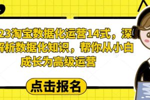 【2023.07.10】2023淘宝数据化-运营 14式，深度解析数据化知识，帮你从小白成长为高级运营百度网盘免费下载-芽米宝库