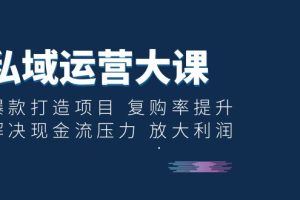 【2023.07.10】私域运营大课：爆款打造项目 复购率提升 解决现金流压力 放大利润百度网盘免费下载-芽米宝库