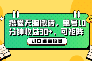 【2023.07.08】小白新手福音：携程无脑搬砖项目，单号操作10分钟收益30+，可矩阵可放大百度网盘免费下载-芽米宝库