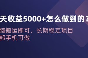 【2023.07.08】一天收益5000+怎么做到的？无脑搬运即可，长期稳定项目，一部手机可做百度网盘免费下载-芽米宝库