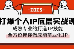 【2023.07.07】打爆·个人IP底层实战课，成熟专业的打造IP技能 全方位带你做成能商业化IP百度网盘免费下载-芽米宝库