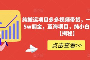 【2023.07.06】纯搬运项目多多视频带货，一个月搞了5w佣金，蓝海项目，纯小白也能操作百度网盘免费下载-芽米宝库
