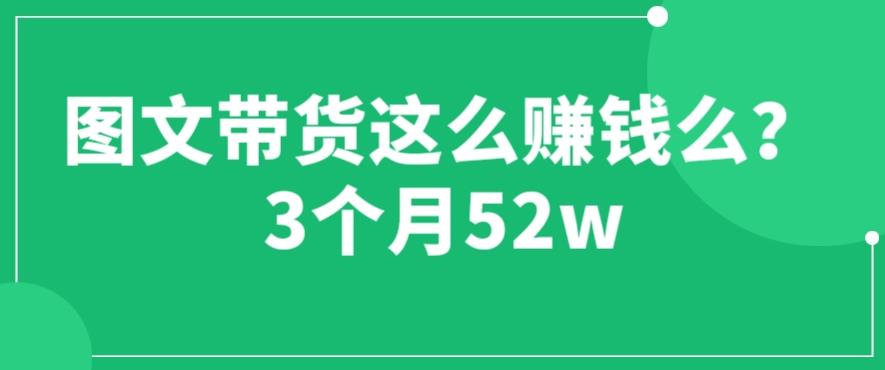 图片[1]-【2023.07.03】图文带货这么赚钱么? 3个月52W 图文带货运营加强课【揭秘】百度网盘免费下载-芽米宝库