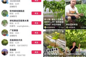 【2023.07.03】抖音三农领域带货副业思路，可以长期盈利的赛道百度网盘免费下载-芽米宝库