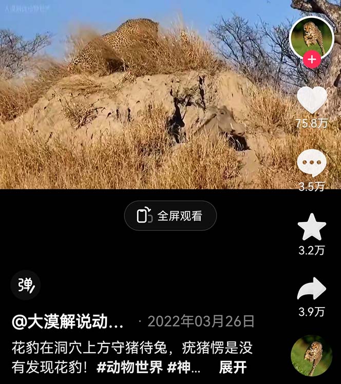 图片[1]-【2023.06.28】外面卖1699的国外纪录片解说（动物解说、美食、动画片）稳过中视频百度网盘免费下载-芽米宝库