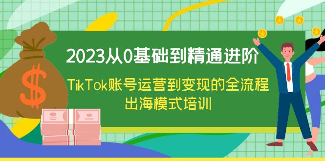 图片[1]-【2023.06.26】2023从0基础到精通进阶，TikTok账号运营到变现的全流程出海模式培训百度网盘免费下载-芽米宝库