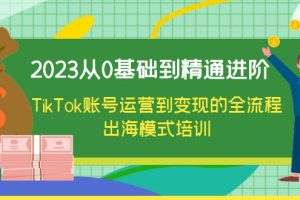 【2023.06.26】2023从0基础到精通进阶，TikTok账号运营到变现的全流程出海模式培训百度网盘免费下载-芽米宝库