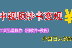 【2023.06.21】2023中视频抄书变现（附工具+教程），一天300+，特别适合新手操作的副业百度网盘免费下载-芽米宝库