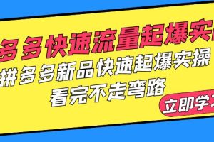【2023.06.22】拼多多-快速流量起爆实战，拼多多新品快速起爆实操，看完不走弯路百度网盘免费下载-芽米宝库