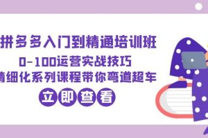 【2023.06.21】2023拼多多入门到精通培训班：0-100运营实战技巧 精细化系列课带你弯道超车百度网盘免费下载-芽米宝库