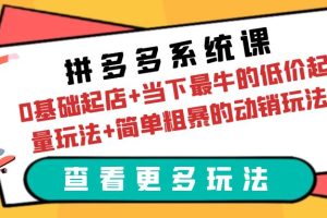 【2023.06.20】拼多多系统课：0基础起店+当下最牛的低价起量玩法+简单粗暴的动销玩法百度网盘免费下载-芽米宝库