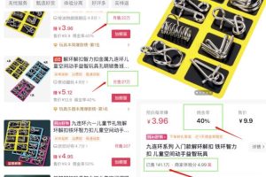 【2023.06.20】月入1w的益智玩具项目，小赛道稳定收入百度网盘免费下载-芽米宝库