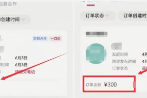 【2023.06.20】小红书商单搬砖玩法，一单收益200-300（可批量放大）百度网盘免费下载-芽米宝库