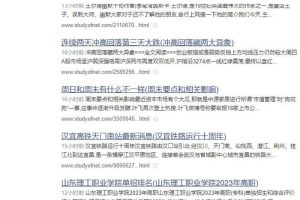 【2023.06.20】SEO养日收网站的一些经验分享（非时效性文章）百度网盘免费下载-芽米宝库