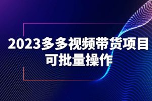 【2023.06.20】2023多多视频带货项目，可批量操作【保姆级教学】百度网盘免费下载-芽米宝库