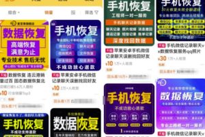 【2023.06.19】数据恢复翻倍月入，你敢试吗？轻松达到3000+百度网盘免费下载-芽米宝库