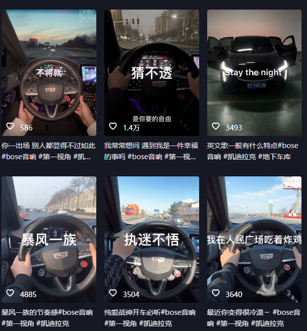 图片[2]-【2023.06.19】抖音开车视频项目，0基础操作，每天五分钟，月入1W+百度网盘免费下载-芽米宝库