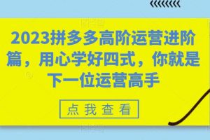 【2023.06.19】2023拼多多高阶运营进阶篇，用心学好四式，你就是下一位运营高手百度网盘免费下载-芽米宝库