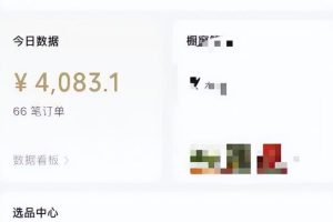 【2023.06.19】视频号钩子玩法项目，简单粗暴日入500+不是问题，新手必看！百度网盘免费下载-芽米宝库