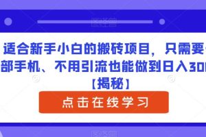 【2023.06.16】适合新手小白的搬砖项目，只需要一部手机、不用引流也能做到日入300+【揭秘】百度网盘免费下载-芽米宝库