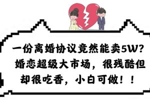 【2023.06.15】一份离婚协议竟然能卖5W？婚恋超级大市场，很残酷但却很吃香，小白可做百度网盘免费下载-芽米宝库