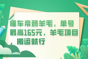 【2023.06.15】懂车帝薅羊毛，单号最高165元，羊毛项目，搬运就行百度网盘免费下载-芽米宝库