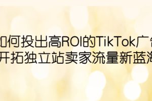 【2023.06.09】如何投出高ROI·TikTok广告，开拓独立站卖家流量新蓝海百度网盘免费下载-芽米宝库