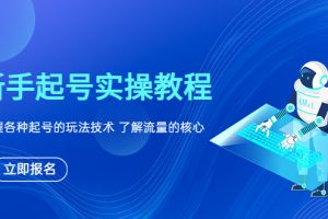 【2023.06.10】新手起号实操教程，掌握各种起号的玩法技术，了解流量的核心百度网盘免费下载-芽米宝库