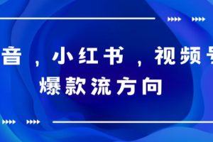 【2023.06.09】抖音，小红书，视频号爆款流视频制作，简单制作掌握流量密码百度网盘免费下载-芽米宝库