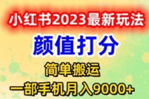 【2023.06.08】最新小红书颜值打分玩法，日入300+闭环玩法百度网盘免费下载-芽米宝库