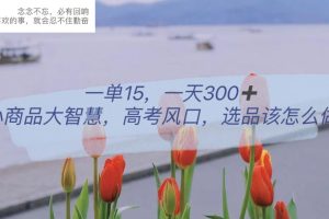 【2023.06.08】一单15，一天300+，小商品大智慧，高考风口，选品该怎么布局百度网盘免费下载-芽米宝库