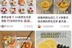 【2023.06.08】小红书卖养生茶项目，低成本可复制！百度网盘免费下载-芽米宝库