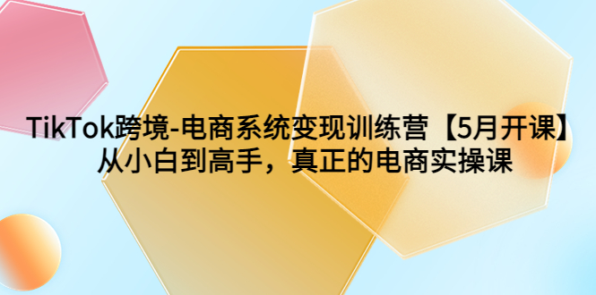 图片[1]-【2023.06.06】TikTok跨境-电商系统变现训练营【5月新课】从小白到高手，真正的电商实操课百度网盘免费下载-芽米宝库