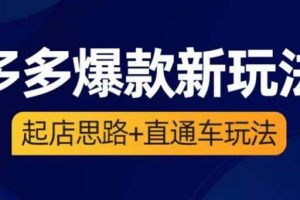 【2023.06.05】2023拼多多爆款·新玩法：起店思路+直通车玩法（3节精华课）百度网盘免费下载-芽米宝库