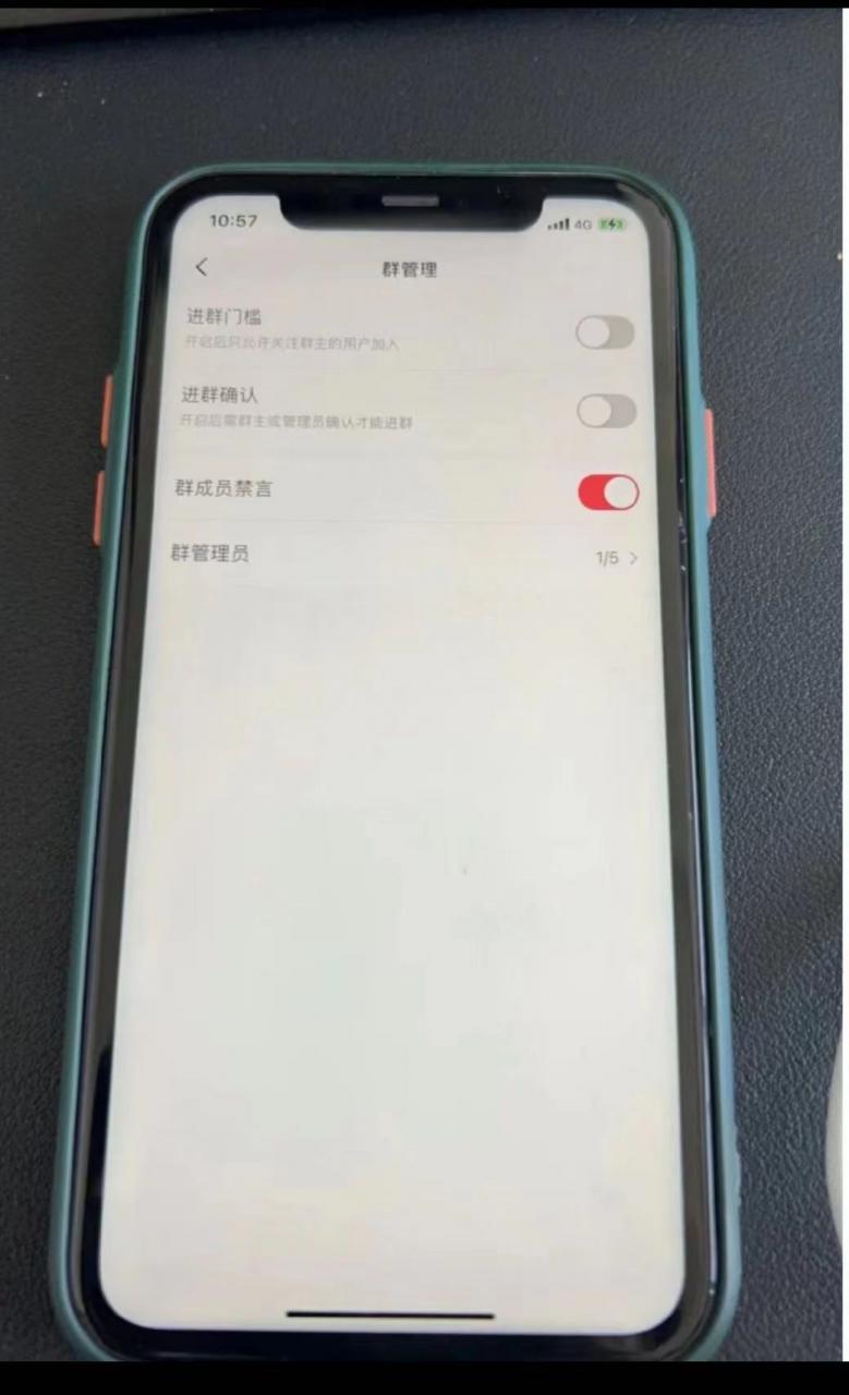 图片[2]-【2023.05.30】小红书风口项目日入300+，小红书群聊禁言技术代开项目，适合新手操作百度网盘免费下载-芽米宝库