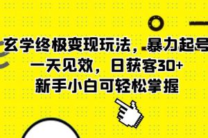 【2023.05.30】玄学终极变现玩法，暴力起号，一天见效，日获客30+，新手小白可轻松掌握百度网盘免费下载-芽米宝库