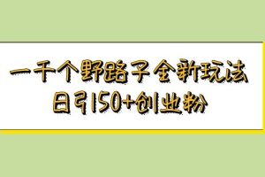 【2023.05.29】一千个野路子全新玩法 日引50+创业粉百度网盘免费下载-芽米宝库