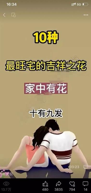 图片[4]-【2023.05.31】视频号项目拆解：抄作业也能爆单，单日带货4083元！百度网盘免费下载-芽米宝库