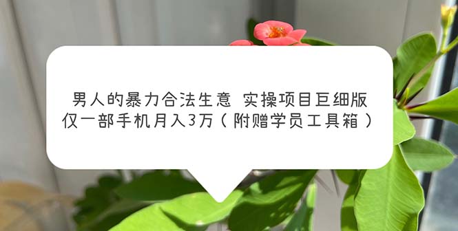 图片[1]-【2023.05.29】男人的暴力合法生意实操项目巨细版：仅一部手机月入3w（附赠学员工具箱）百度网盘免费下载-芽米宝库