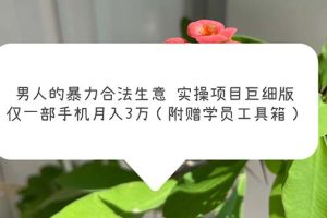 【2023.05.29】男人的暴力合法生意实操项目巨细版：仅一部手机月入3w（附赠学员工具箱）百度网盘免费下载-芽米宝库