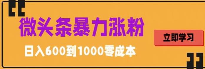 图片[1]-【2023.05.28】微头条暴力涨粉技巧搬运文案就能涨几万粉丝，简单0成本，日赚600百度网盘免费下载-芽米宝库