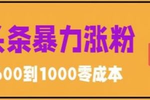 【2023.05.28】微头条暴力涨粉技巧搬运文案就能涨几万粉丝，简单0成本，日赚600百度网盘免费下载-芽米宝库